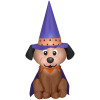 INFLTBL DOG W/WITCH HAT