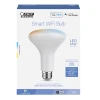 FT LED BR30 AW 65W