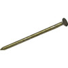 NAIL SNK 10DX2.875" 50#
