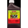 INSECT CONTROL G&F 16OZ