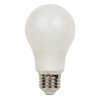 BULB LED A19 E26 DAY 6W