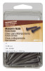 MASONRY NAIL 2" 6OZ