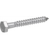 BOLT LAG 1/4X3" SS