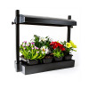 GROW LGHT SYSTEM 12W BLK