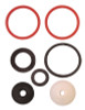 VALVE REBUILD KIT 1"CHMP