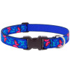 CLR DG SCL BTRFLY 12-20"