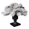 PRCH BSH SNWY LED 24"