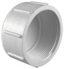 CAP SCH40 PVC 2FPT