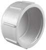 CAP SCH 40 3FPT