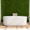 DreamLine Charisma 59" Freestanding Acrylic Bathtub, White Finish, Brushed Nickel Drain