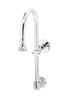 T&S Brass TB2456W T & S 13" Rigid Dummy Gooseneck with 4" Wall Bracket, Rosespray Outlet, and Supply Nipple Kit upc 071262637732