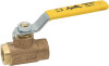 APOLLO VALVES 290071 Apollo  Series Bronze Ball Valve, Potable Water Service, Two Piece, Inline, Lever, 2" NPT Female