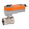 B249+AFRX24MFTS 2-way CCV, SS Trim, 2", Cv 46" CCV w/ Stainless St