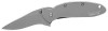 Kershaw KER1620FL Scallion Pocket Knife (1620FL) 2.4” 420HC Stainless Steel Blade and 410 Steel Handle, Featuring SpeedSafe Assisted Opening, Flipper, Lanyard Hole, Secure Frame Lock and Tip Lock 2.9 OZ.