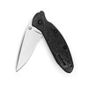 Kershaw KER1620 Scallion (1620) 2.4” Bead-Blasted 420HC Steel Blade, Basic Black Glass-Filled Nylon Handle, SpeedSafe Assisted Opening with Flipper, Liner Lock, Tip-Lock, Single-Position Pocketclip 2.3 OZ.