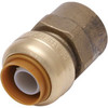CASH ACME U094LF GIDDS-421336LF Cash Acme Push Fit Female Adapter, 1" x 1" Fnpt, Lead Free
