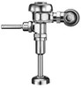 Sloan 3012636 ROYAL 186-1 FLUSH VLV  URINAL 1.0 GPF *img* VALVE COMPANY 14185