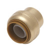 Reliance Worldwide Corporation 421330LF Cash Acme End Stop, Push To Connect, 3/4 In