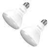 OSRAM SYLVANIA 3553385 SYLVANIA, 65W Equivalent, LED Light Bulb, BR30 Lamp, 2 Pack, Daylight, Energy Saving & Dimmable, Value Series, Medium Base, Efficient 9W, 5000K