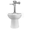Sloan S20201001 WETS-2020.1001 Floor Mount ADA Compliant Toilet Bowl w/ Manual HET Flush Valve, 1.28 GPF