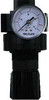 Plews TRF24-404 Tru-Flate Regulator 300 Psi 1/4 " Npt Rubber 0 - 125 Psi