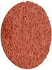 Shark Industries Ltd SRK12840 Shark 24 Grit Aluminum Oxide Twist Lock Discs, 2-Inch, 10-Pack