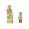 SAS Safety SAS9806-10 1/4-Inch NPT Flow-Thru Pump Coupler and Plug