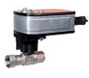 Belimo 60703 | US | CCV | 1" | 2 Way | 30 Cv | w/ Spg Rtn | 24V | 2-10V | SW
