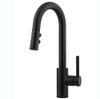 Pfister LG572SAB CCY LF 1.8 1HDL PD KITC FCT MABL PRICE