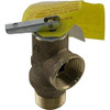 United Aqua Group 011912F Pressure Relief Valve 125# Pressure Relief Valve 125#