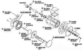 BELL & GOSSETT 111096 Xylem- 185241 FRONT BEARING (W/LIP SEAL)