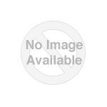 Schneider Electric IT USA, Inc BK350 Pc Wholesale Exclusive Apc Back-ups Cs350 External 350va 210w 6-outlet 120v Battery Backup Beige 3.