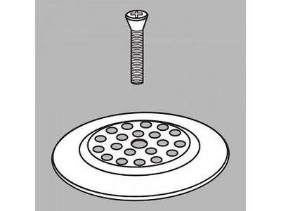 Delta RP7430PB Faucet Dome Strainer with Screw, Polished Brass