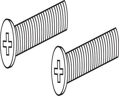 Delta RP6404SS Other Screws (2) - Overflow Plate 143882