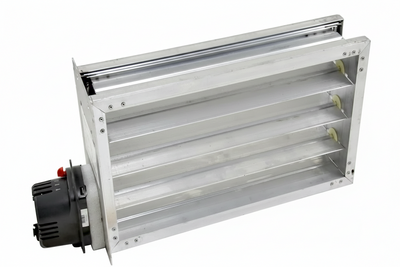 Honeywell 316641 ZD18X10TZ 18L X 10H Parallel 2pos 24vS/R