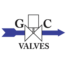 GC Valves K211C5G Repair Kit (Low Press/HotWtr)