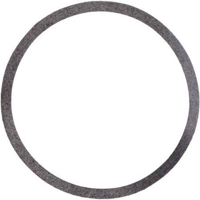 Armstrong Fluid Technology 104442-000 Body Gasket