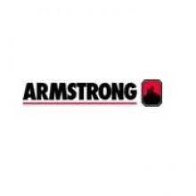 Armstrong Fluid Technology 816117-000 Gasket Set Gasket Set
