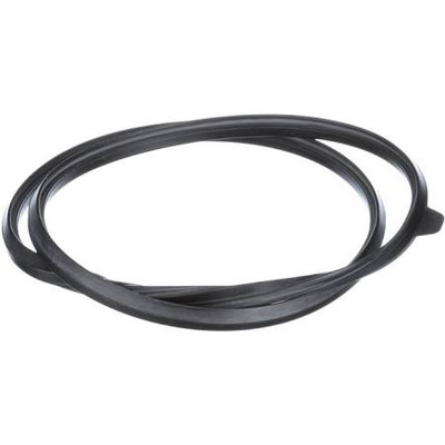 A.O. Smith & A.O. Smith 100208088 RUBBER DOOR GASKET RUBBER DOOR GASKET