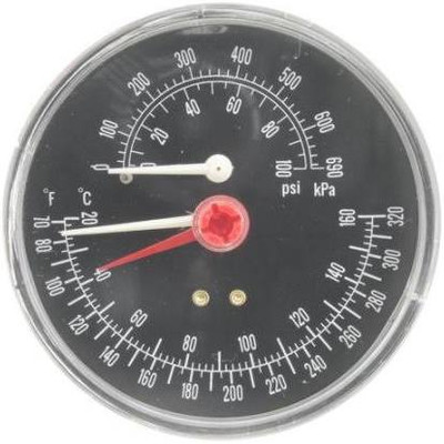 WEIL 510-218-099 Combination Pressure-Temperature Gauge (All Boiler Sizes)
