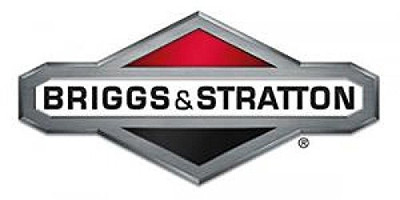 B & S 122B3699GS Briggs & Stratton OEM replacement ring-head