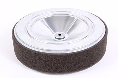 Honda 17210-Z6L-010 Honda Air Cleaner Element