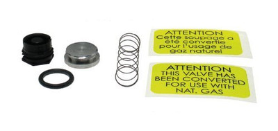 RHEEM 60-23430-01 -Ruud Nat. Gas Valve Spring Kit