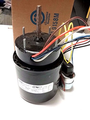 FASCO D219 Fasco- 1/8HP 115V 3000RPM Rev. Motor
