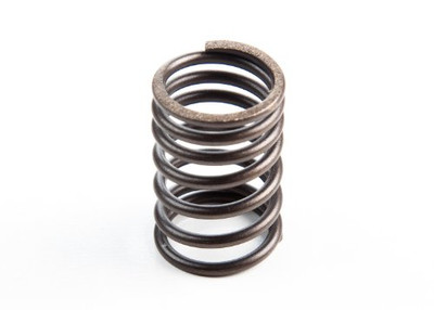 B & S 690520 Briggs & Stratton Valve Spring Replaces 260552, 555060,