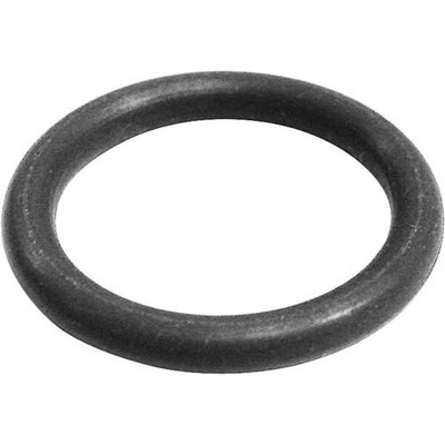 O-RING for BKI - Part# O0013