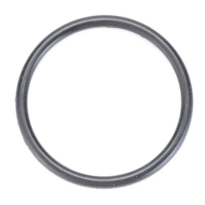 O-RING, PARKER #2-124, LARGE for BKI - Part# O0014