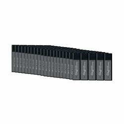 CENTON ELECTRONICS S1-U2P1-2G100PK CENTON VALUEPACK USB 2.0 DATASTICK PRO (GREY), 2GB, 100 PACK