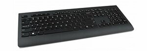 LENOVO 4X30H56841 LENOVO PROFESSIONAL WIRELESS KEYBOARD-US ENGLISH