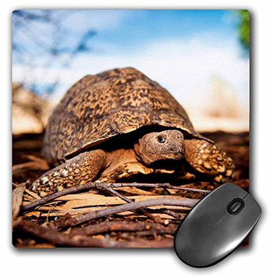 HOFFCO 206529 PARTS SCREEN-INLET